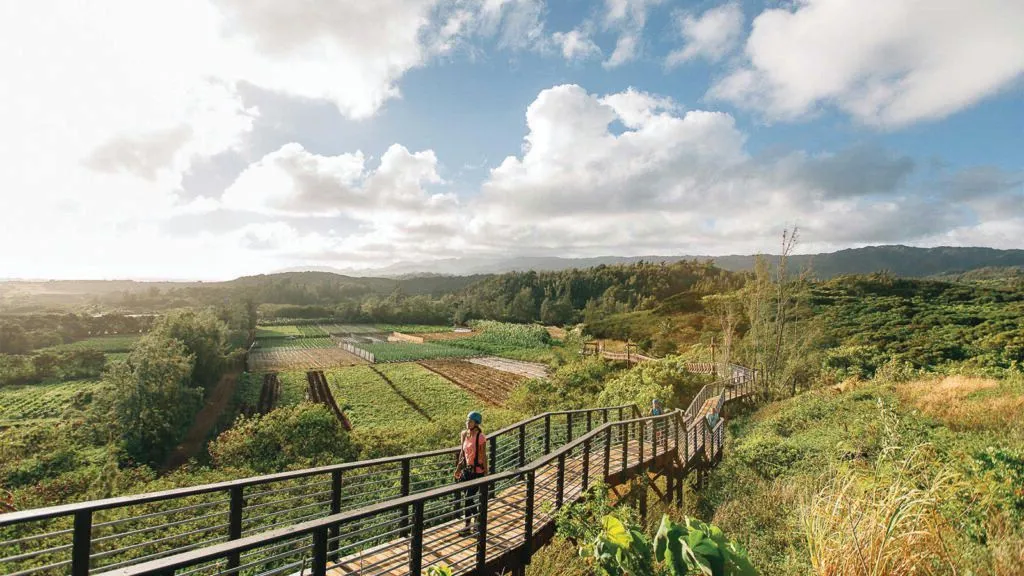 Climb Works Keana Farms Zipline Tour on Oahu North Shore
