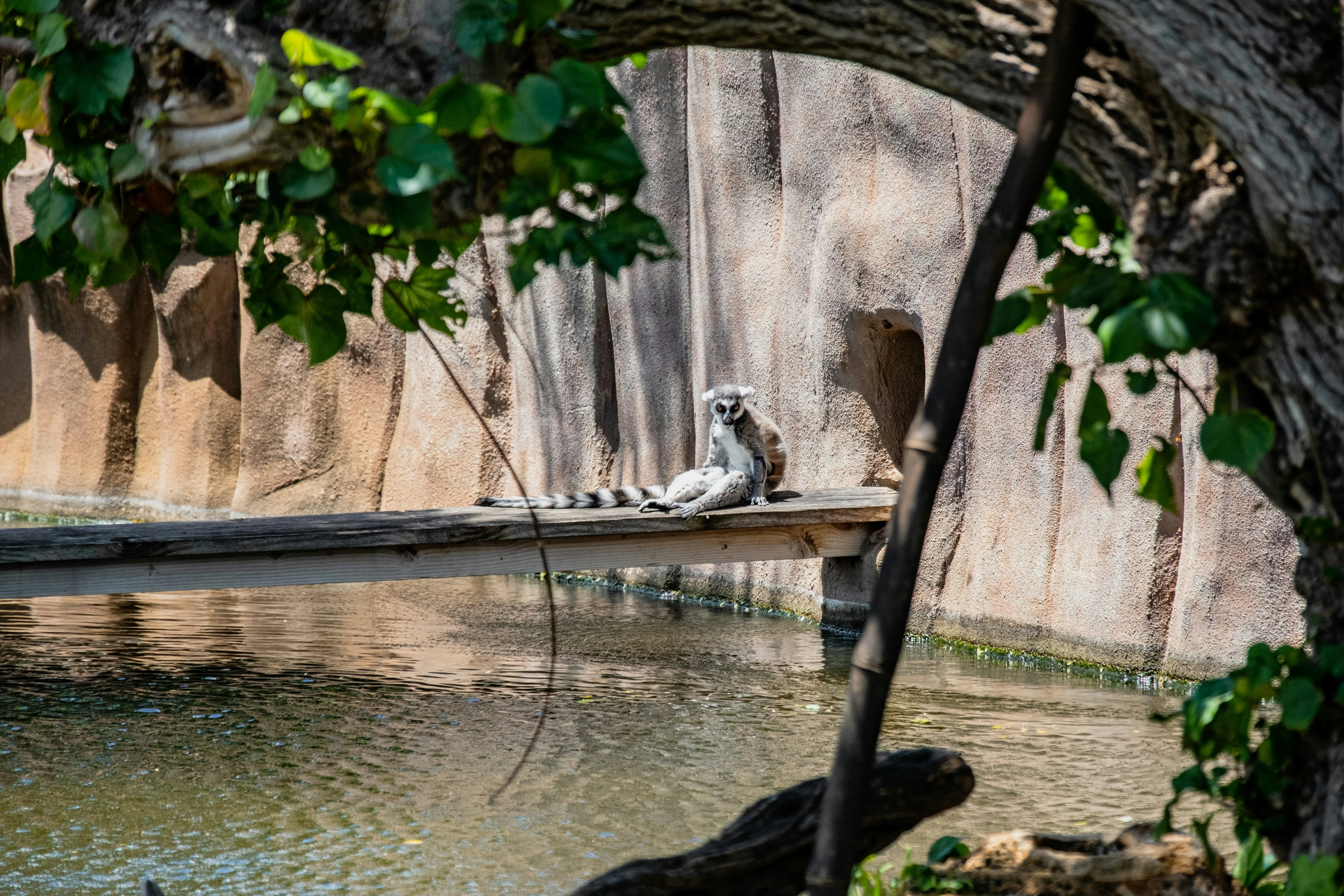 Honolulu Zoo on Oahu North Shore