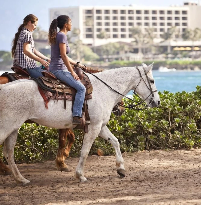 Oahu Horseback Rides on Oahu North Shore