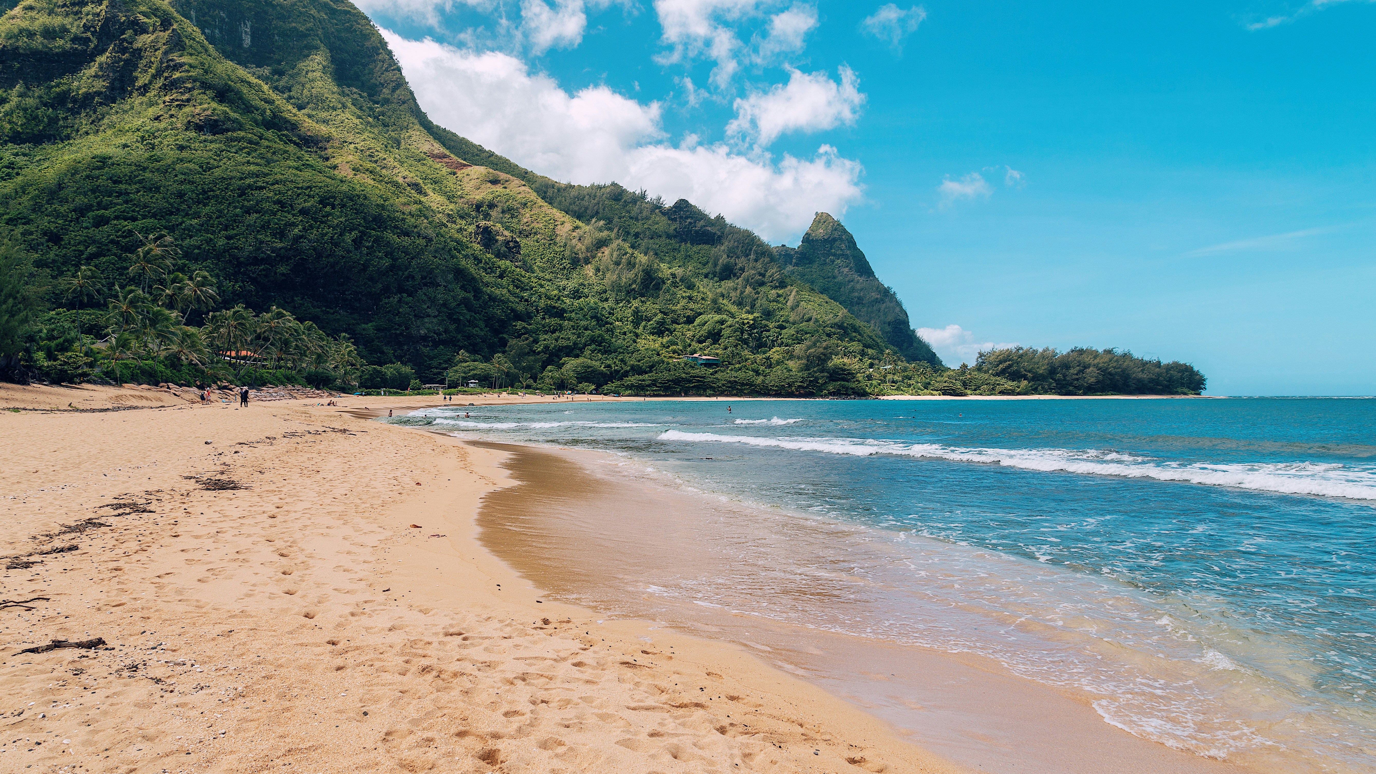 Hawaii beach
